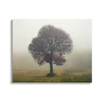 Stupell Industries Lone Tree Rural Grassland Photograph Gallery Wrapped Canvas Print Wall Art, Design by Igor Vitomirov