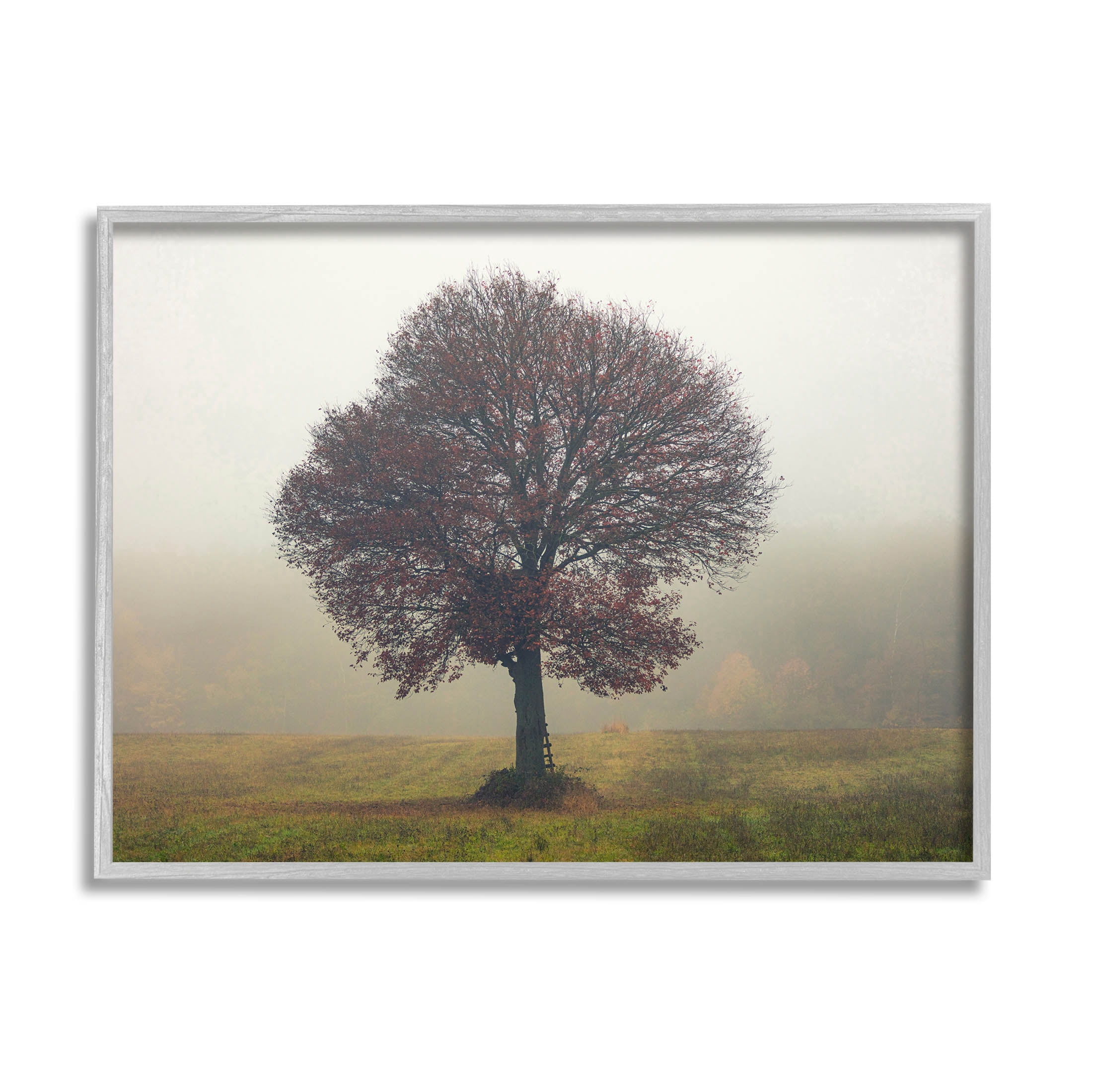 Stupell Industries Lone Tree Rural Grassland Photograph Gray Framed Art Print Wall Art, Design by Igor Vitomirov
