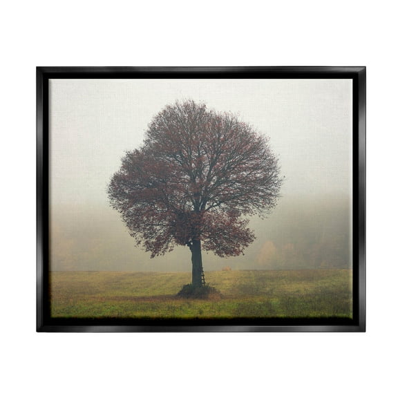 Stupell Industries Lone Tree Rural Grassland Photograph Jet Black Floating Framed Canvas Print Wall Art, Design by Igor Vitomirov