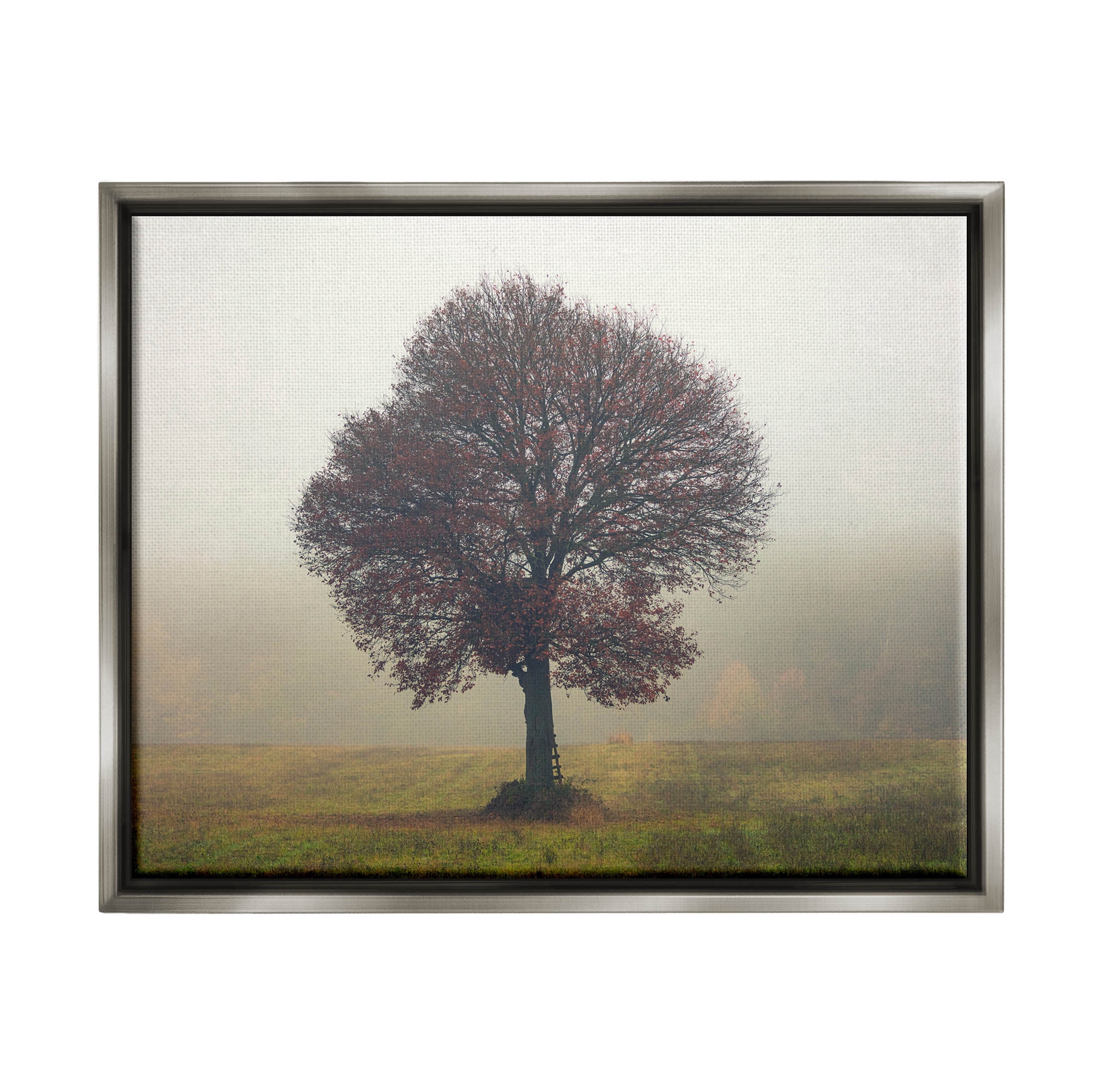 Stupell Industries Lone Tree Rural Grassland Photograph Luster Gray Floating Framed Canvas Print Wall Art, Design by Igor Vitomirov