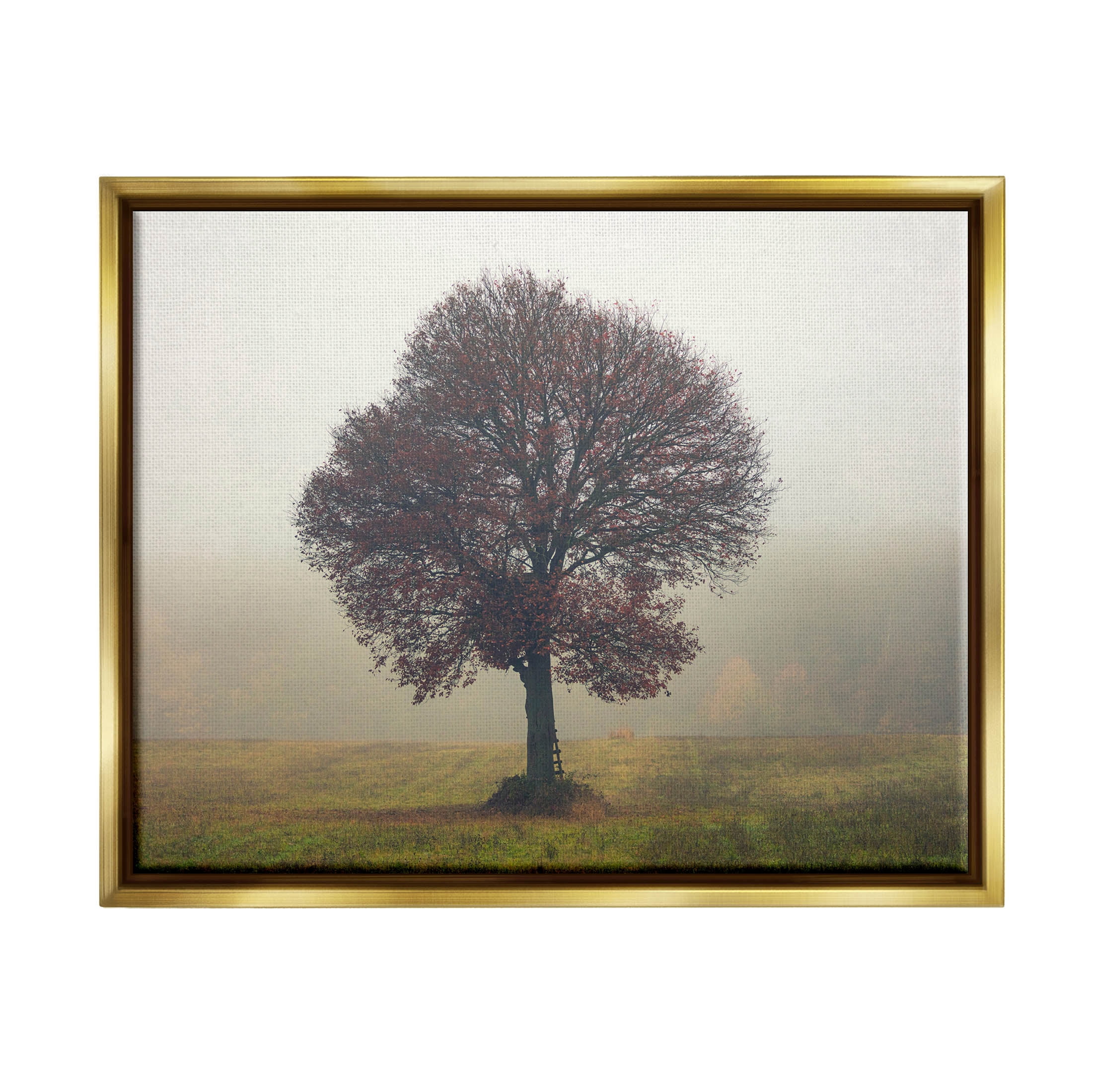 Stupell Industries Lone Tree Rural Grassland Photograph Metallic Gold Floating Framed Canvas Print Wall Art, Design by Igor Vitomirov
