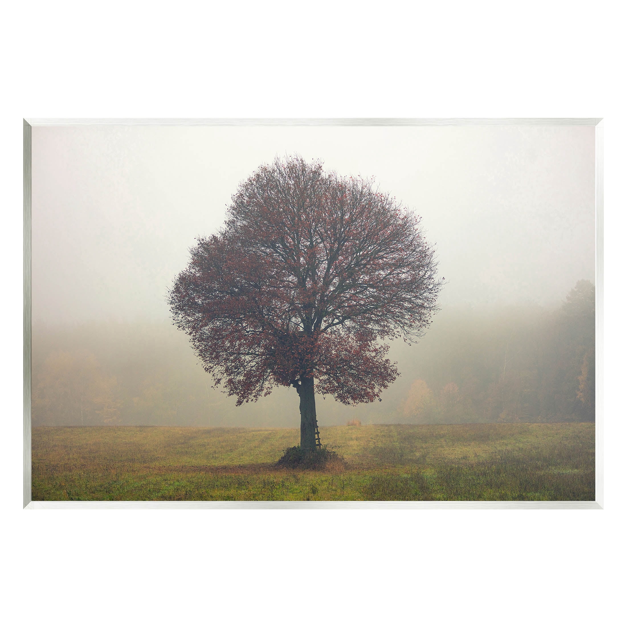 Stupell Industries Lone Tree Rural Grassland Photograph Unframed Art Print Wall Art, Design by Igor Vitomirov
