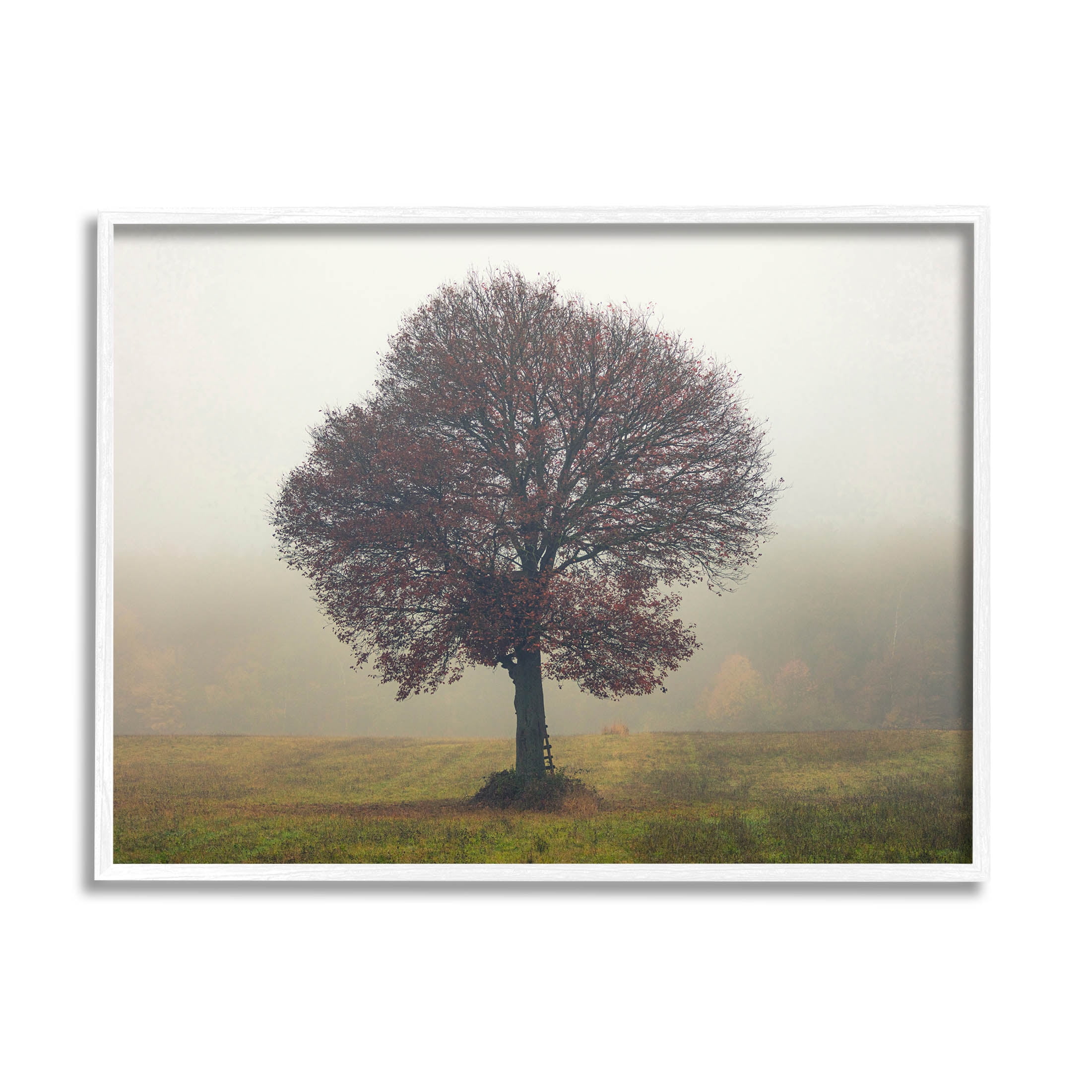 Stupell Industries Lone Tree Rural Grassland Photograph White Framed Art Print Wall Art, Design by Igor Vitomirov