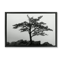 Stupell Industries Lone Tree on Rocks Landscape & Nature Photography Black Floater Framed Canvas Art Print Wall Art, 25 x 17