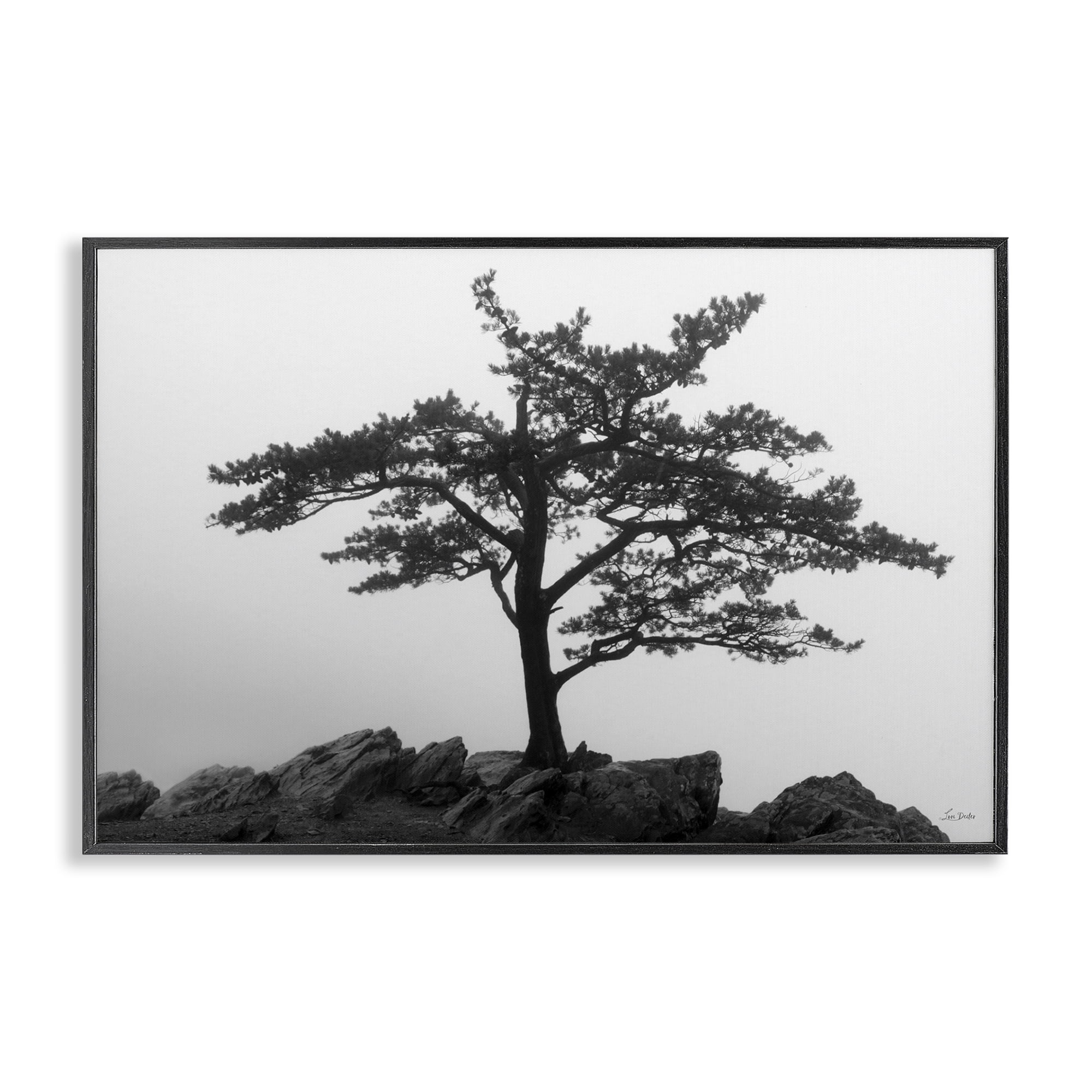 Stupell Industries Lone Tree on Rocks Landscape & Nature Photography Black Framed Art Print Wall Art, 24 x 16