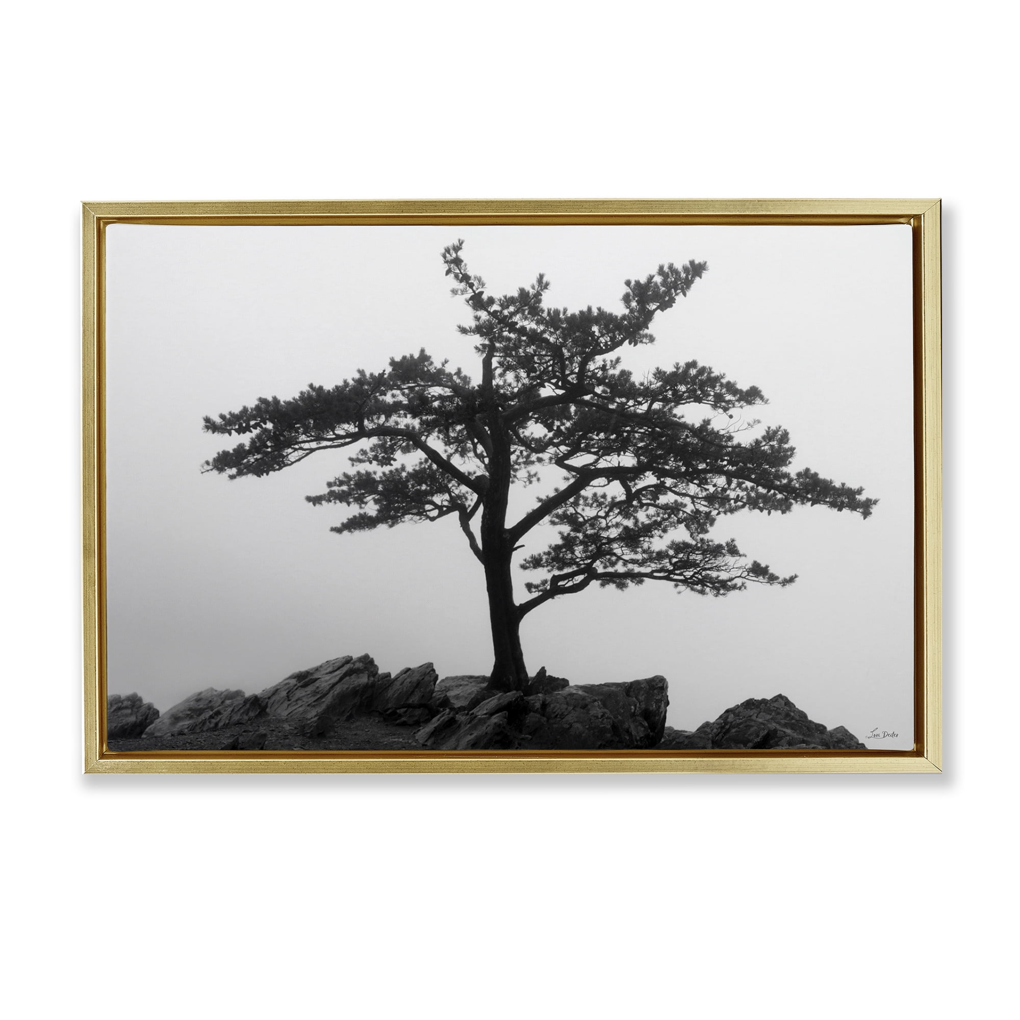 Stupell Industries Lone Tree on Rocks Landscape & Nature Photography Gold Floater Framed Canvas Art Print Wall Art, 31 x 21