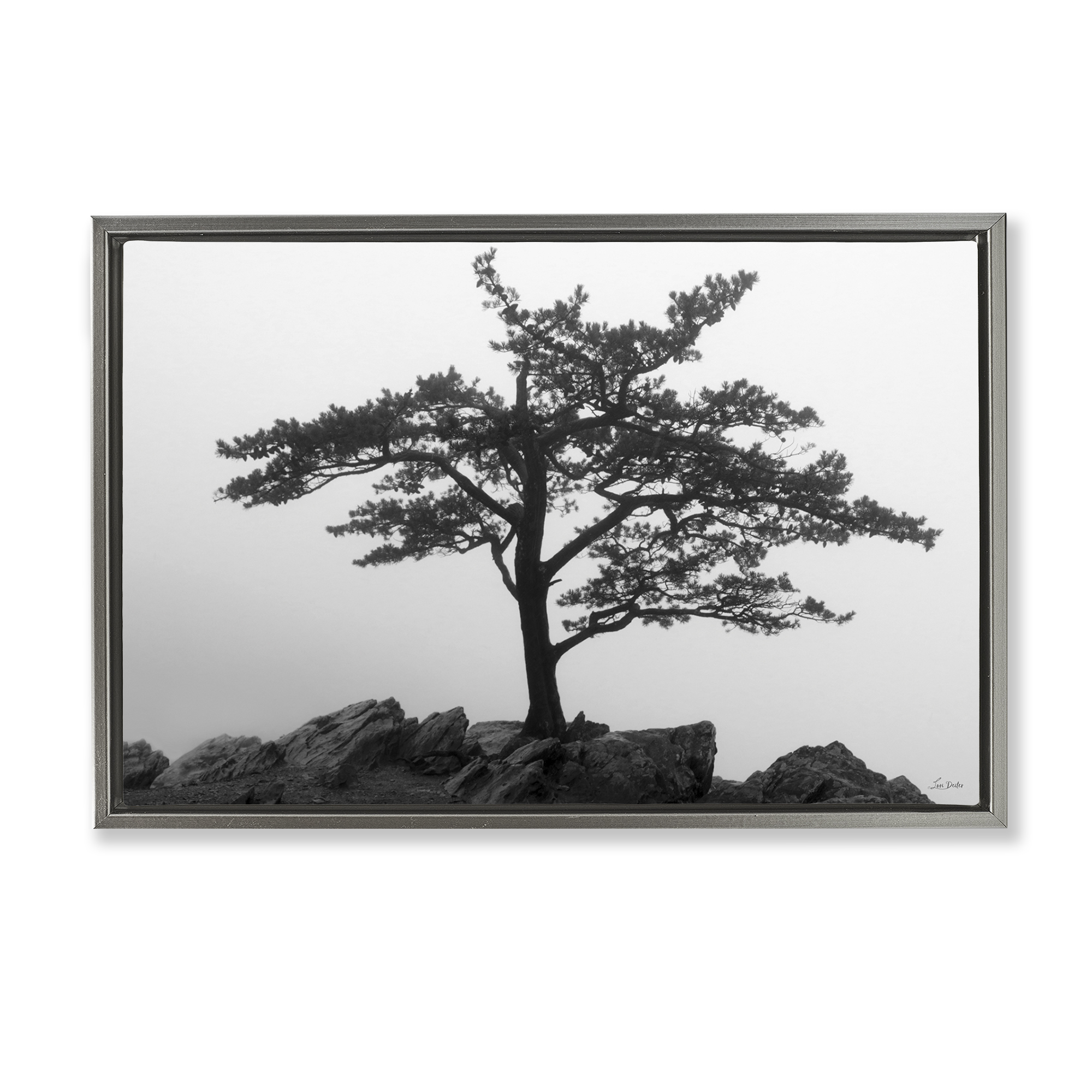 Stupell Industries Lone Tree on Rocks Landscape & Nature Photography Gray Floater Framed Canvas Art Print Wall Art, 25 x 17