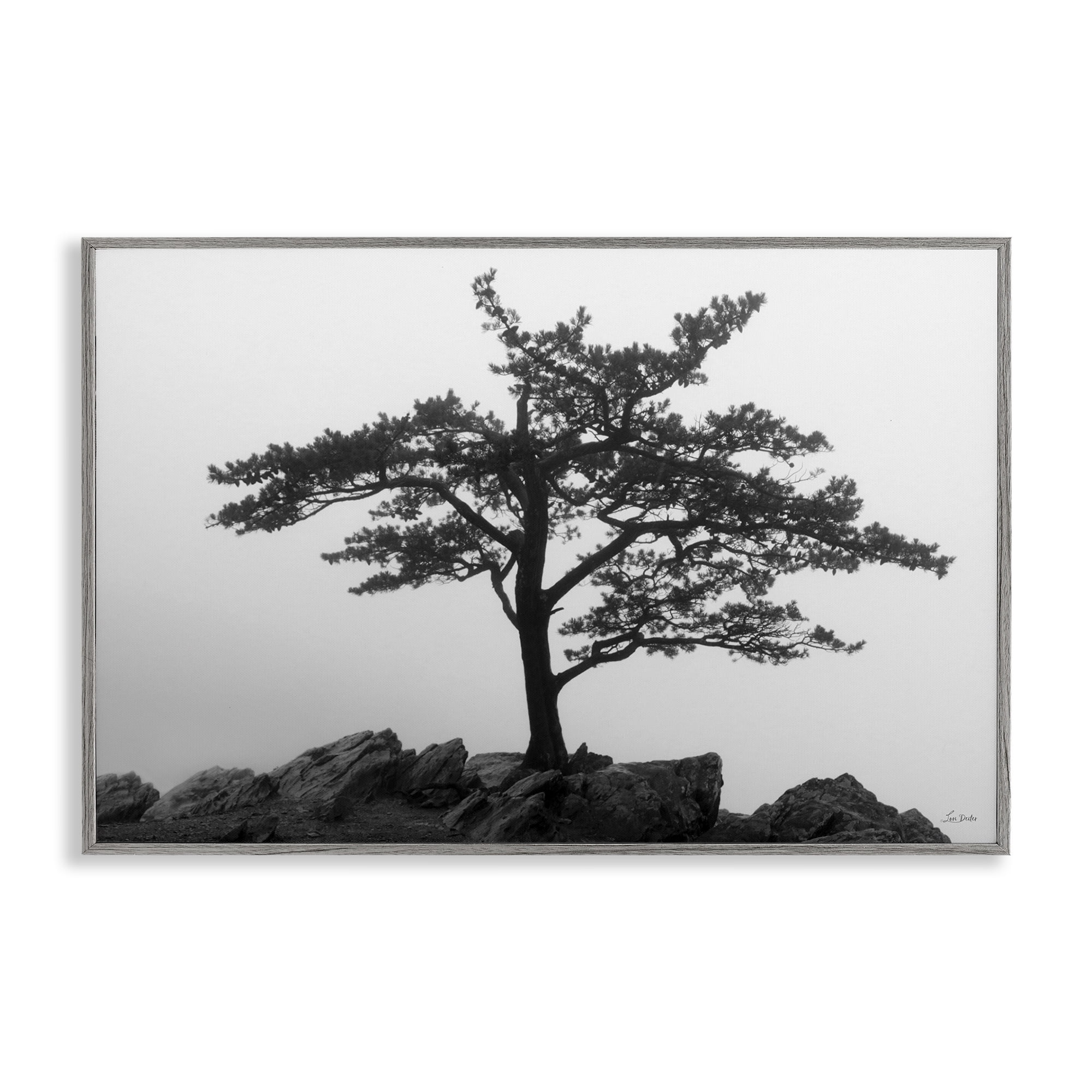 Stupell Industries Lone Tree on Rocks Landscape & Nature Photography Gray Framed Art Print Wall Art, 18 x 12