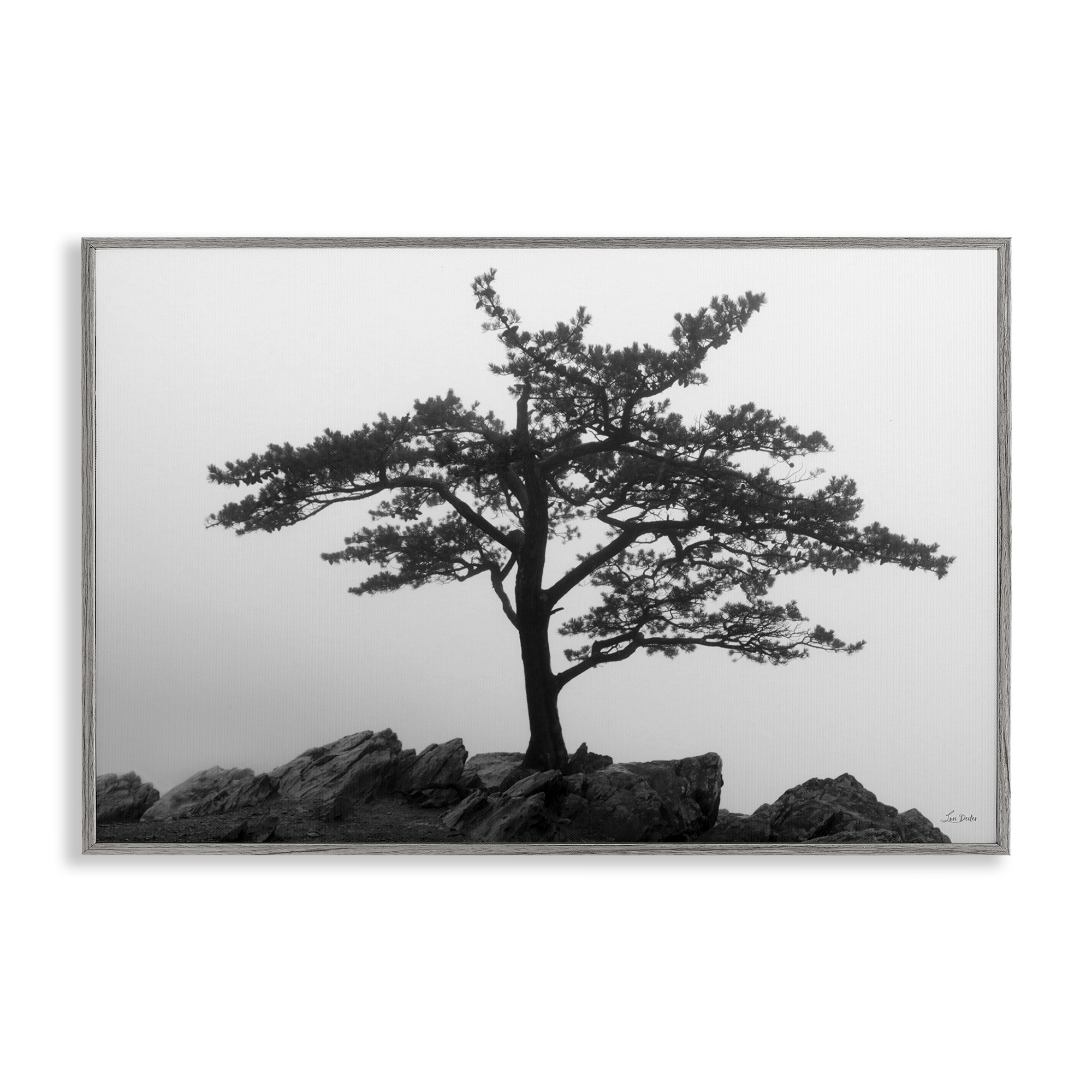 Stupell Industries Lone Tree on Rocks Landscape & Nature Photography Gray Framed Art Print Wall Art, 24 x 16