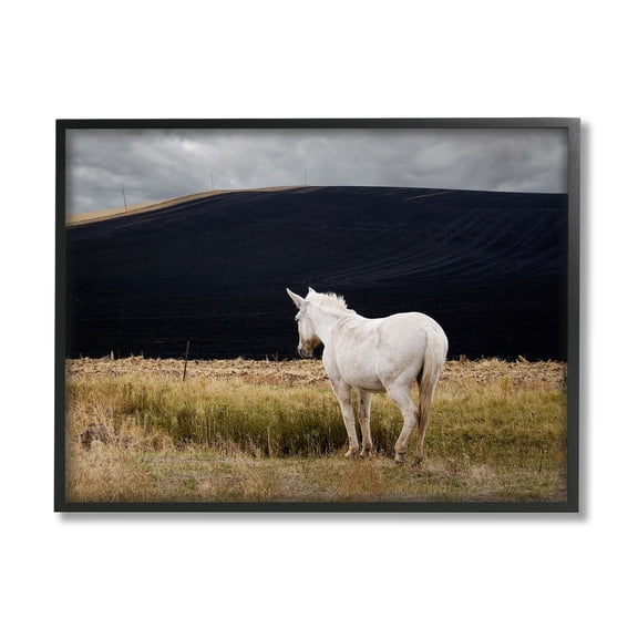 Stupell Industries Lone White Horse Vast Country Pasture Photograph Black Framed Art Print Wall Art, Design by David Lorenz