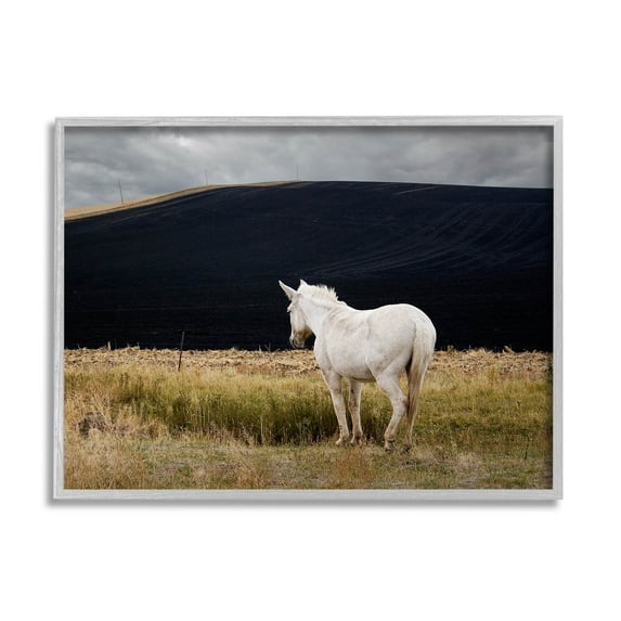 Stupell Industries Lone White Horse Vast Country Pasture Photograph Gray Framed Art Print Wall Art, Design by David Lorenz
