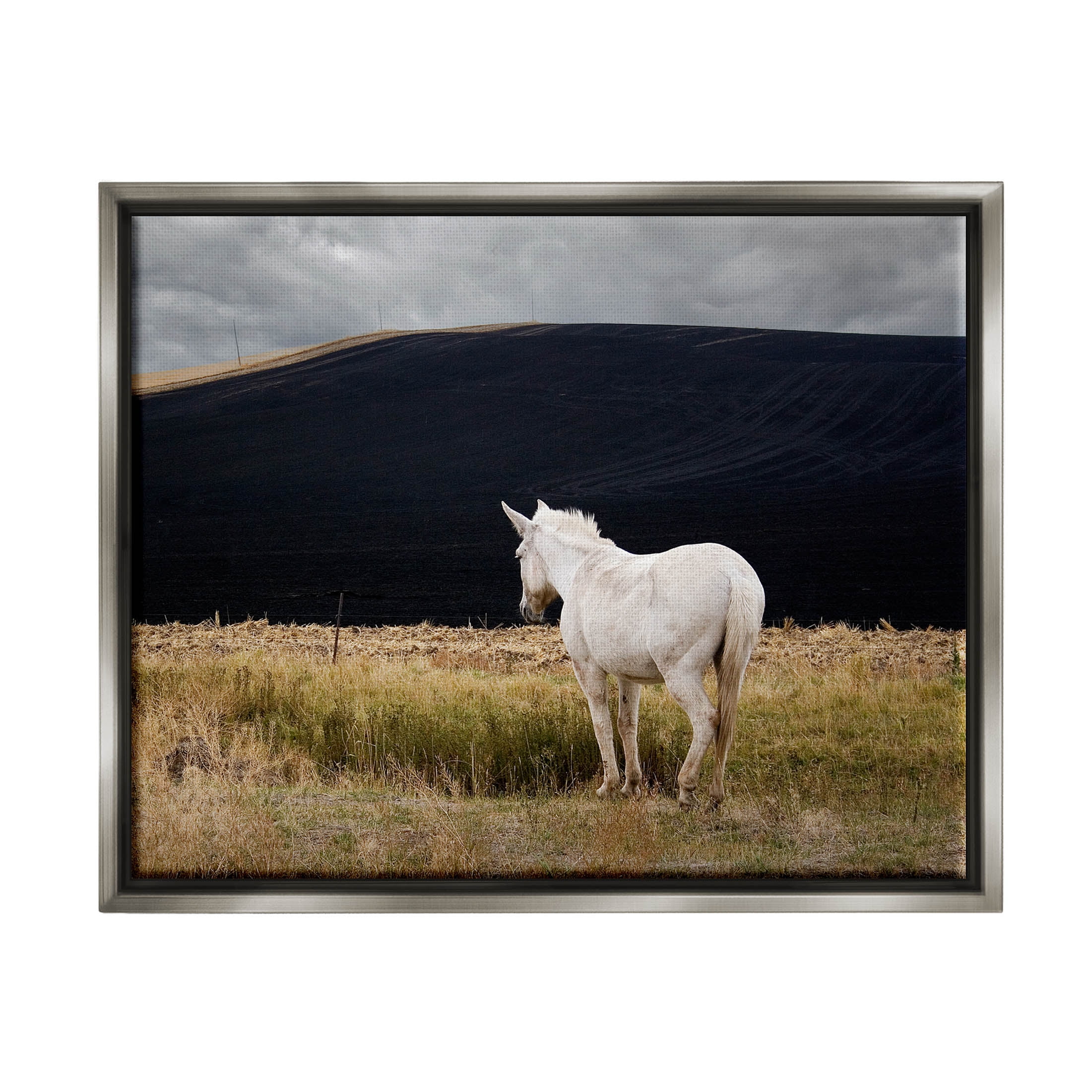 Stupell Industries Lone White Horse Vast Country Pasture Photograph Luster Gray Floating Framed Canvas Print Wall Art, Design by David Lorenz