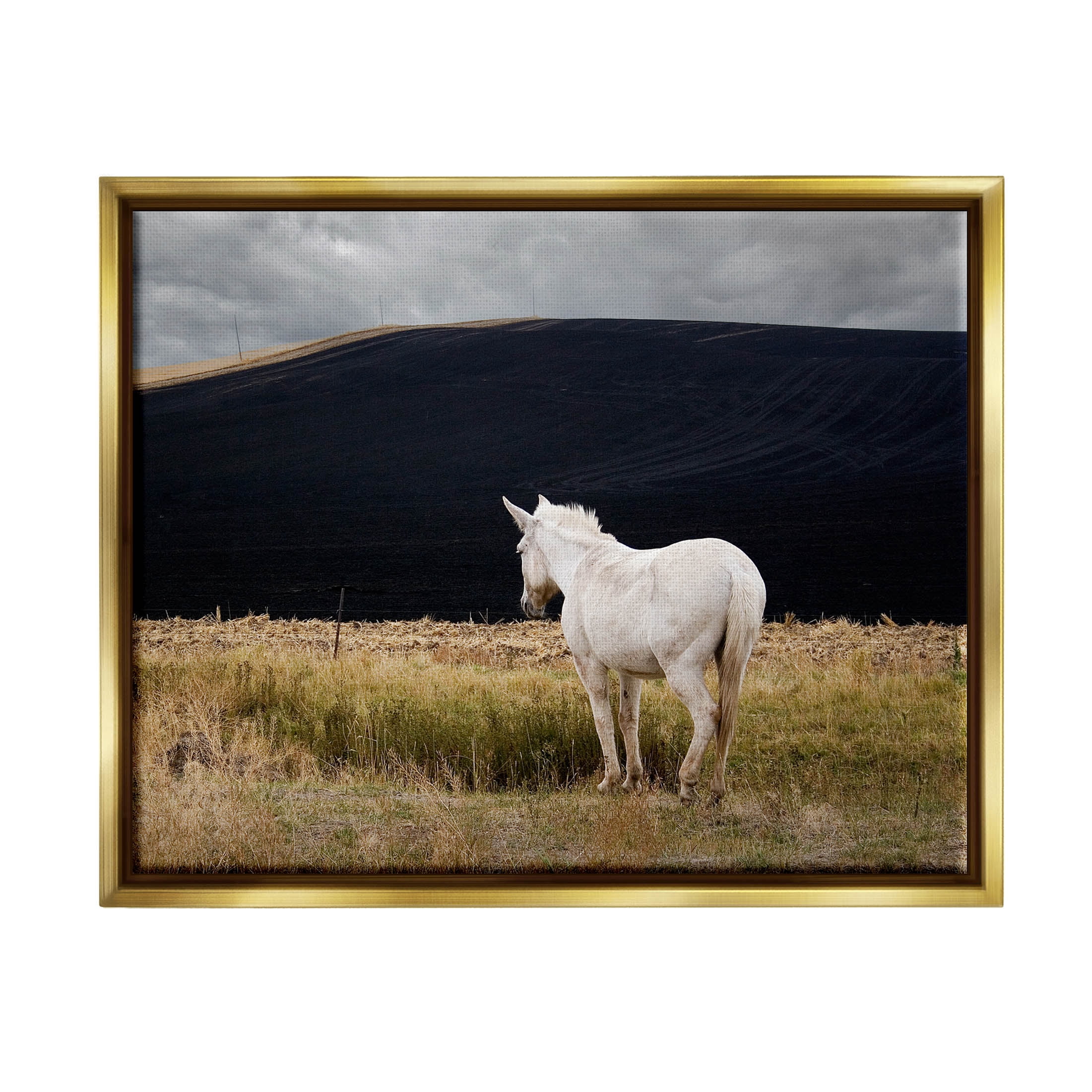 Stupell Industries Lone White Horse Vast Country Pasture Photograph Metallic Gold Floating Framed Canvas Print Wall Art, Design by David Lorenz
