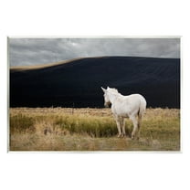 Stupell Industries Lone White Horse Vast Country Pasture Photograph Unframed Art Print Wall Art, Design by David Lorenz