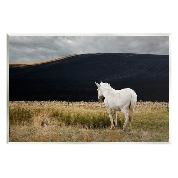 Stupell Industries Lone White Horse Vast Country Pasture Photograph Unframed Art Print Wall Art, Design by David Lorenz
