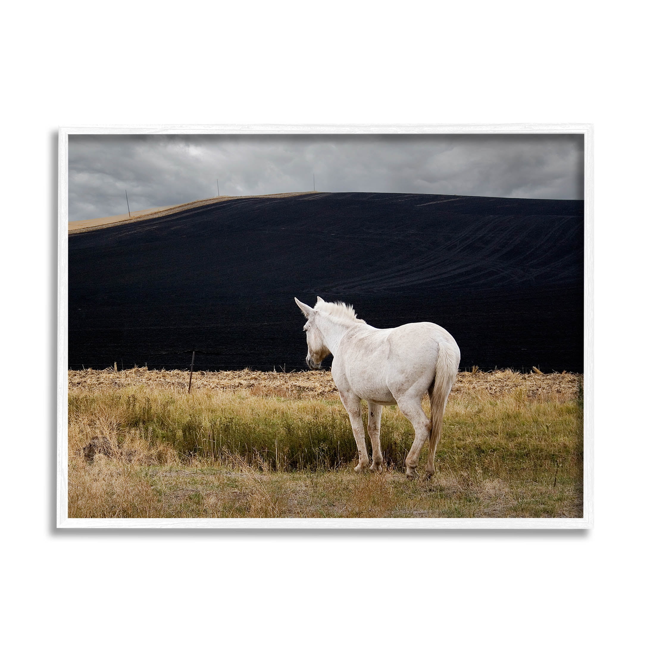 Stupell Industries Lone White Horse Vast Country Pasture Photograph White Framed Art Print Wall Art, Design by David Lorenz