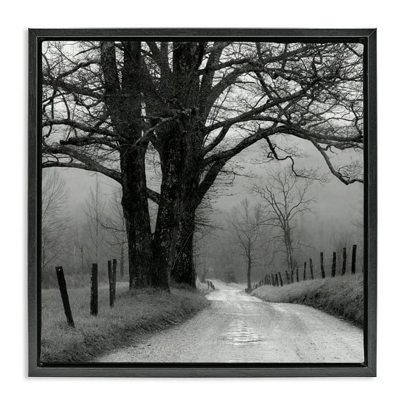 Stupell Industries Lonely Path Toward Trees Landscape & Nature Photography Black Floater Framed Canvas Art Print Wall Art, 18 x 18