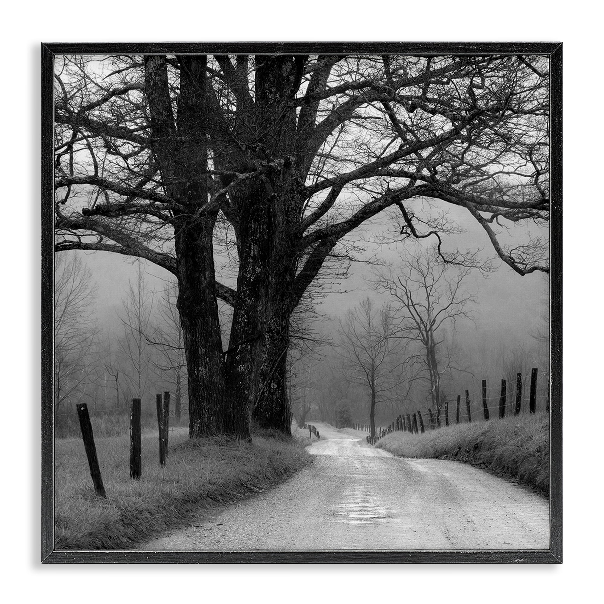 Stupell Industries Lonely Path Toward Trees Landscape & Nature Photography Black Framed Art Print Wall Art, 12 x 12