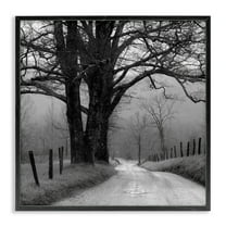 Stupell Industries Lonely Path Toward Trees Landscape & Nature Photography Black Framed Art Print Wall Art, 12 x 12