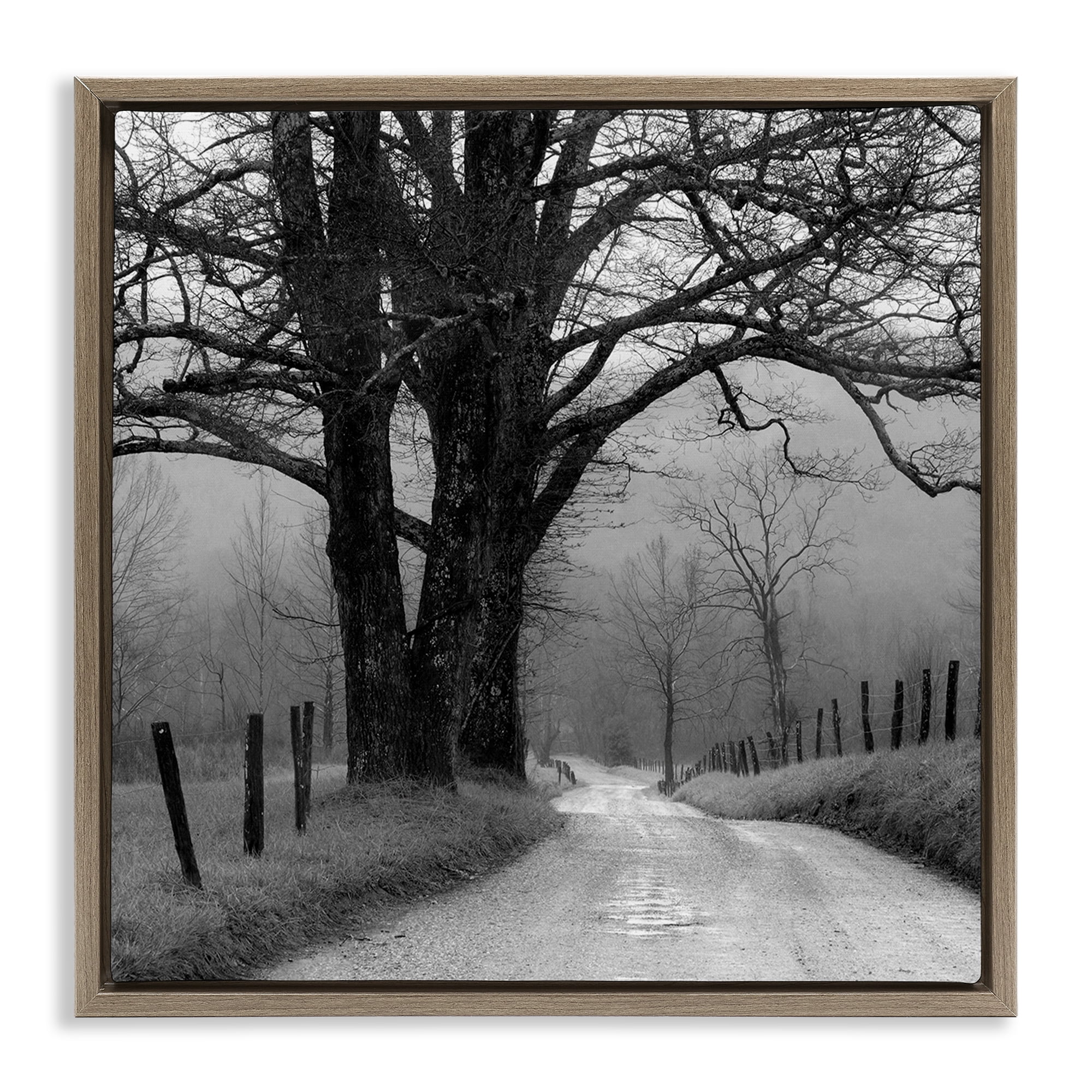 Stupell Industries Lonely Path Toward Trees Landscape & Nature Photography Brown Floater Framed Canvas Art Print Wall Art, 25 x 25