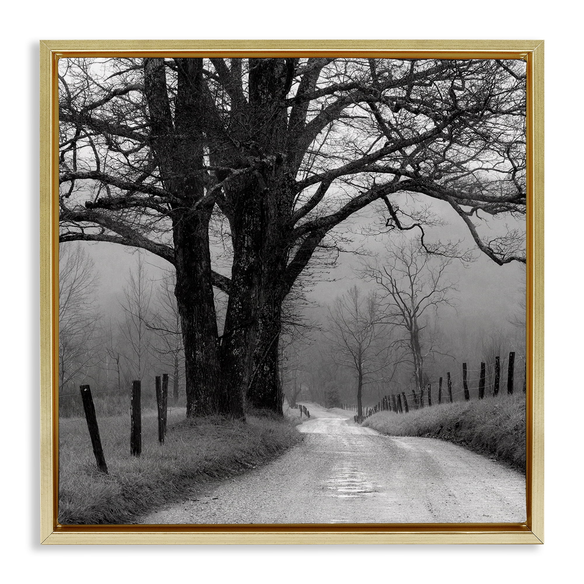 Stupell Industries Lonely Path Toward Trees Landscape & Nature Photography Gold Floater Framed Canvas Art Print Wall Art, 18 x 18