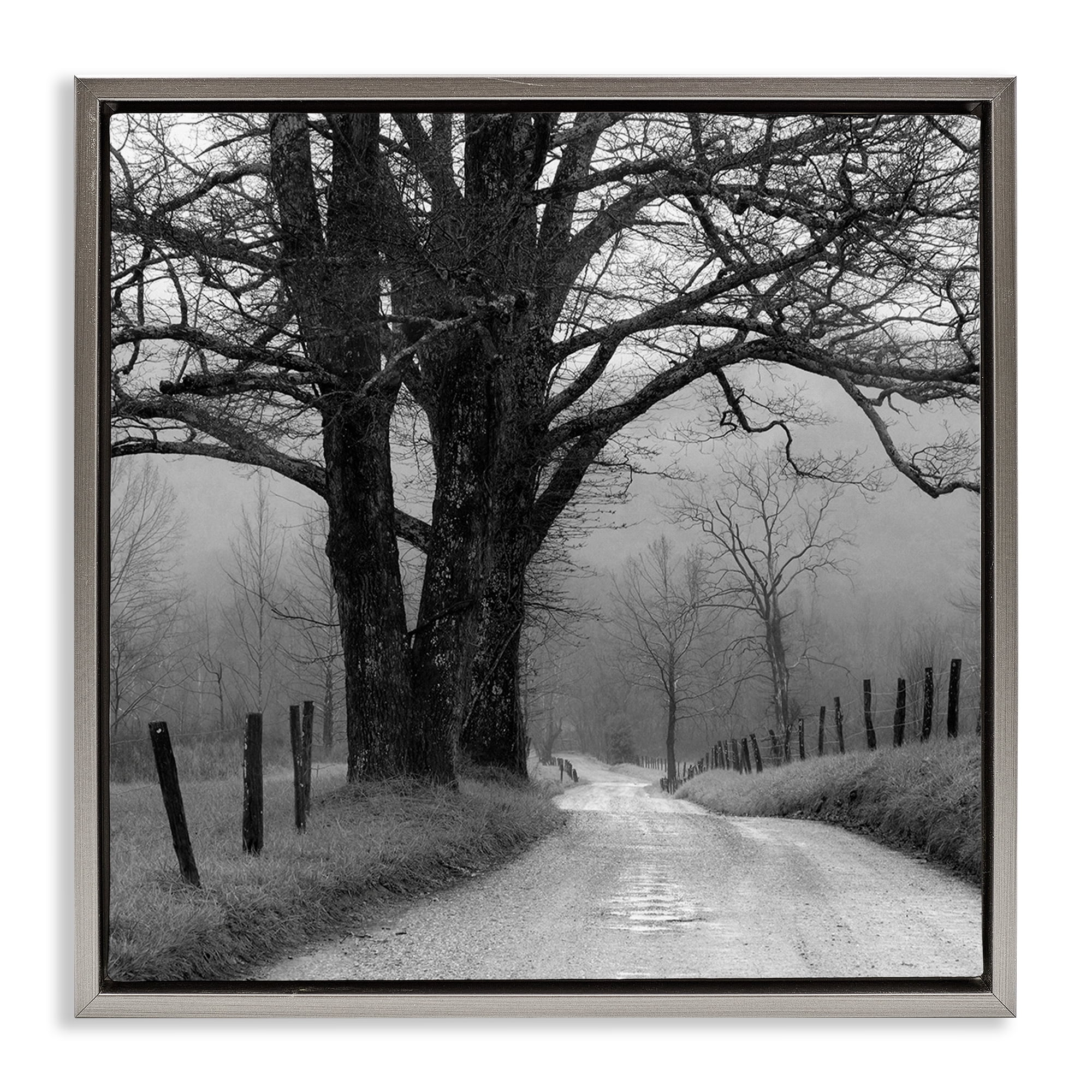 Stupell Industries Lonely Path Toward Trees Landscape & Nature Photography Gray Floater Framed Canvas Art Print Wall Art, 25 x 25