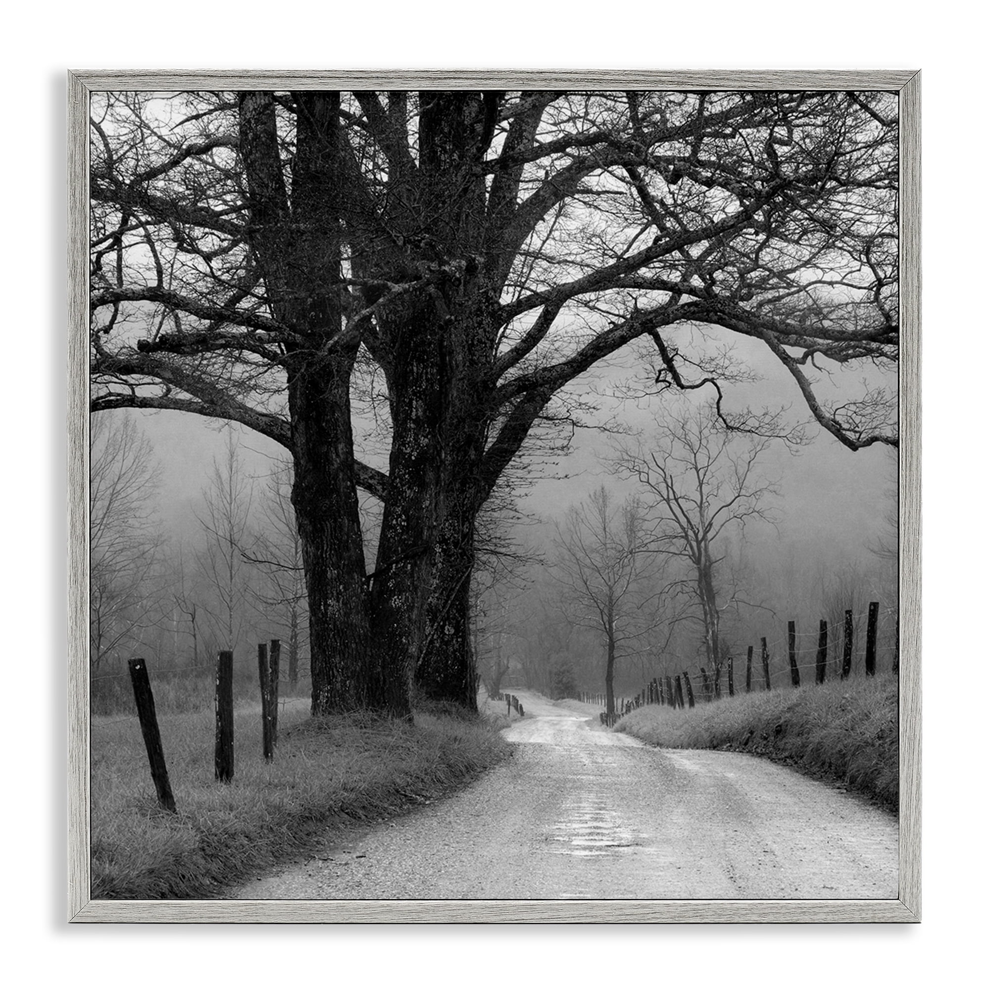 Stupell Industries Lonely Path Toward Trees Landscape & Nature Photography Gray Framed Art Print Wall Art, 17 x 17