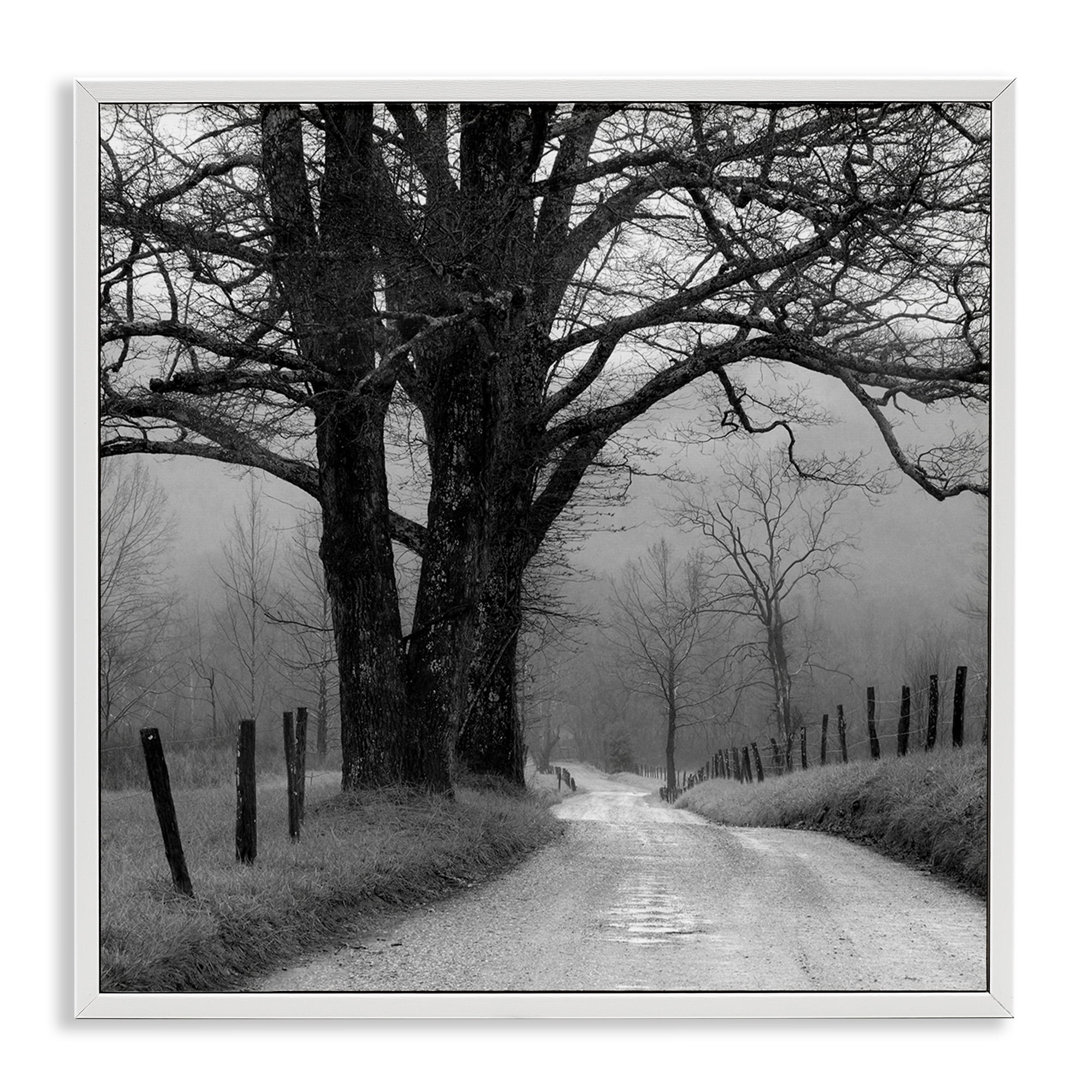 Stupell Industries Lonely Path Toward Trees Landscape & Nature Photography White Framed Art Print Wall Art, 17 x 17
