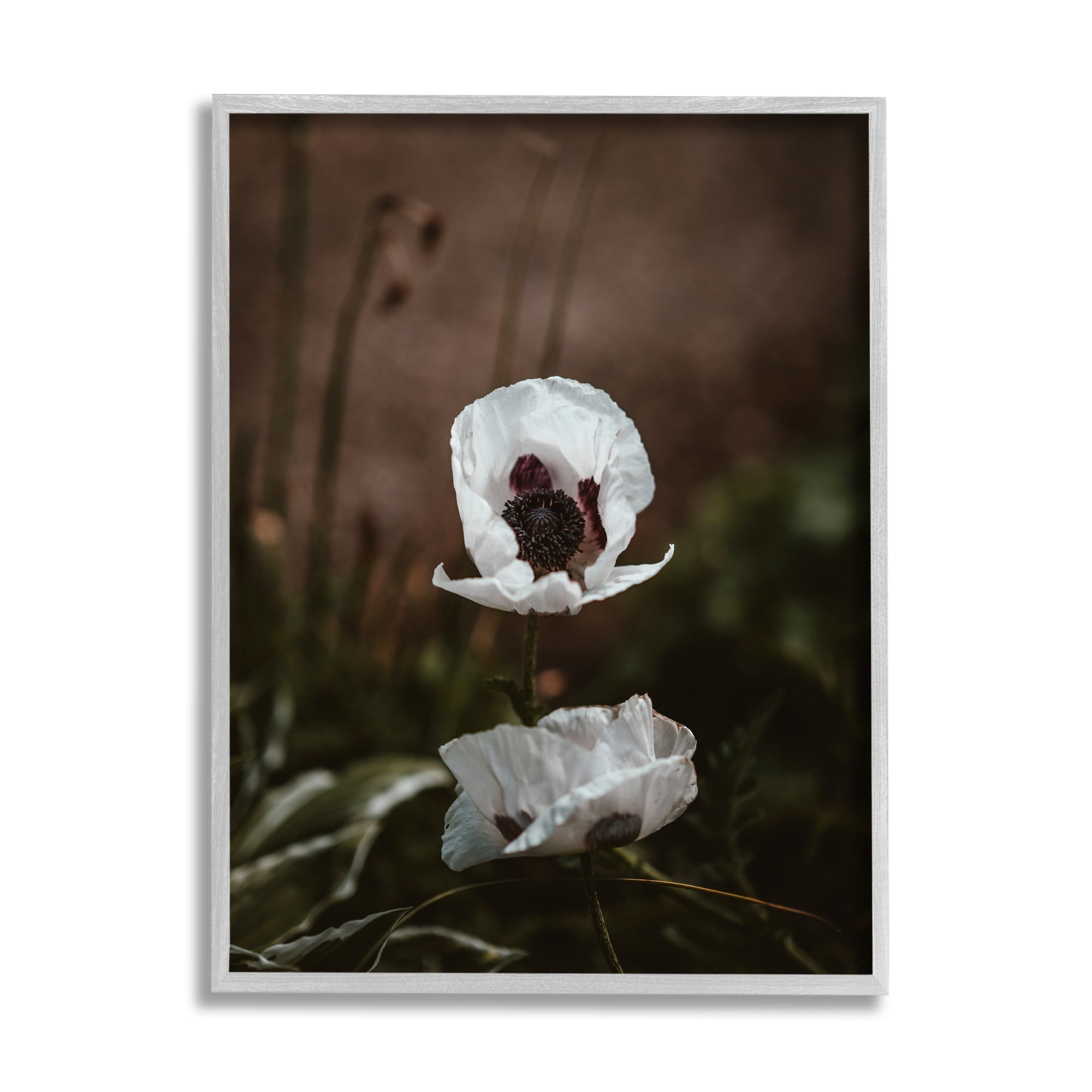 Stupell Industries Lonely White Flower Blossom Forest Photography , 16 x 20, Design by Incado