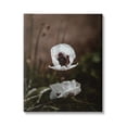 thumbnail image 1 of Stupell Industries Lonely White Flower Blossom Forest Photography , 36 x 48, Design by Incado, 1 of 7