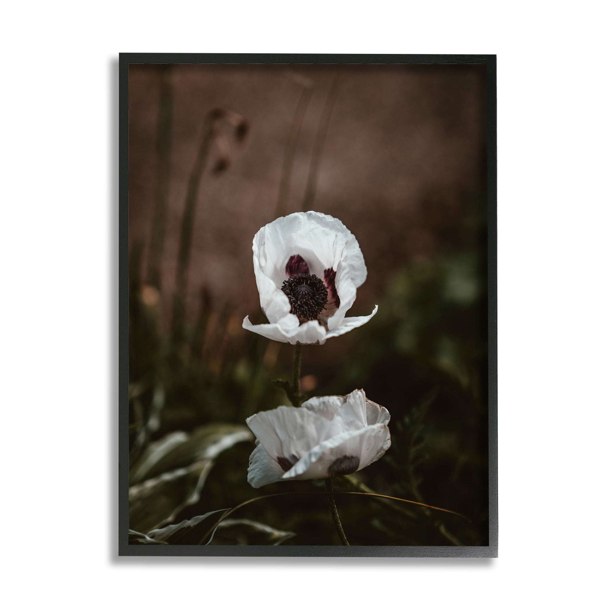 Stupell Industries Lonely White Flower Blossom Forest Photography Black Framed Art Print Wall Art, 16x20, by Incado