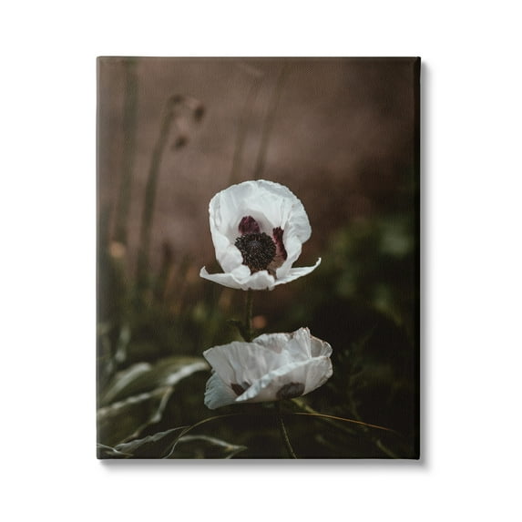 Stupell Industries Lonely White Flower Blossom Forest Photography Gallery-Wrapped Canvas Print Wall Art, 24x30, by Incado