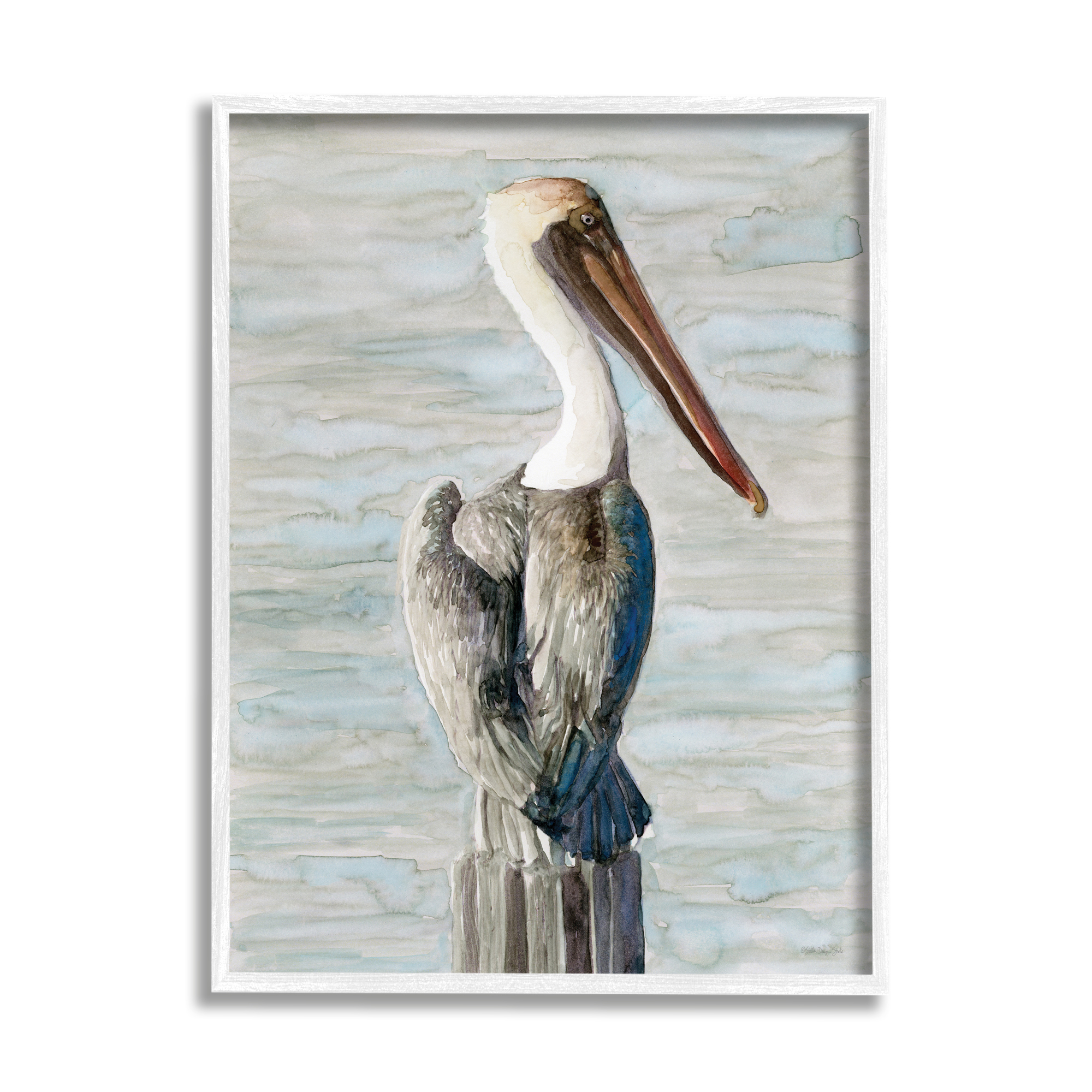 Stupell Industries Long Beak Pelican Watercolor Painting Coastal Waterfowl Bird, 11 x 14,Design by Stellar Design Studio
