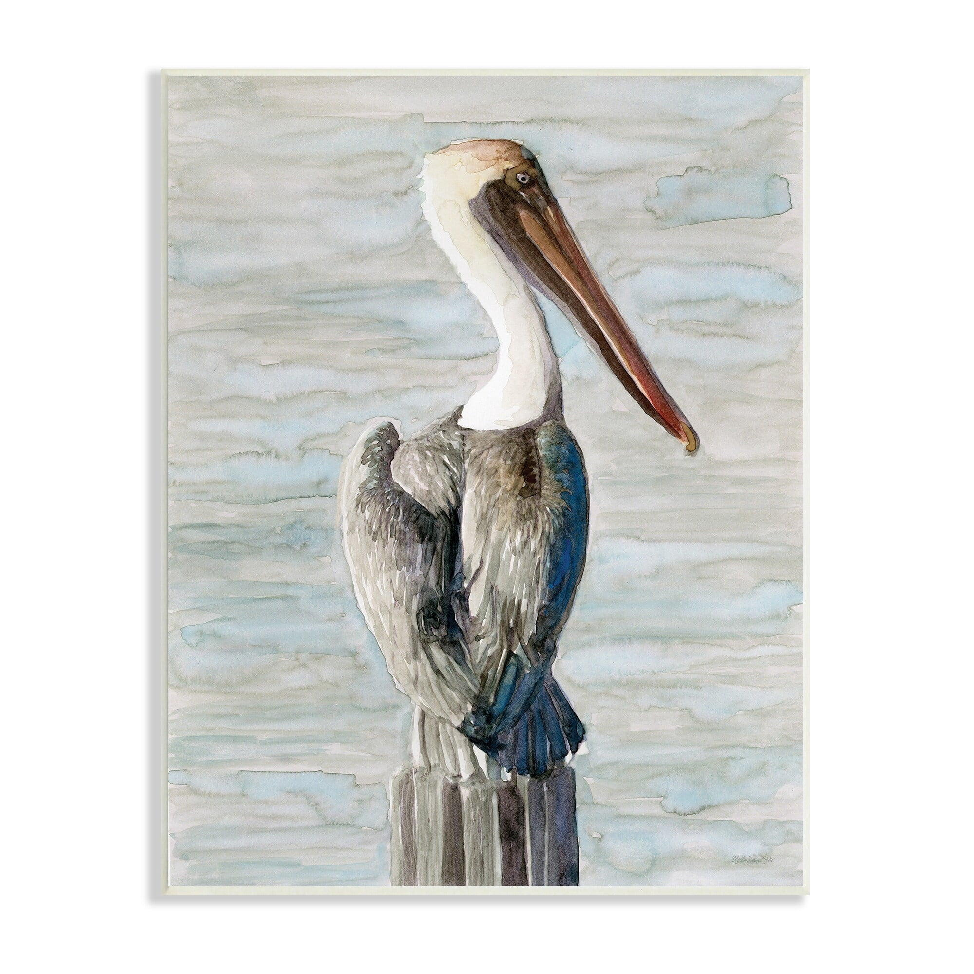 Stupell Industries Long Beak Pelican Watercolor Painting Coastal Waterfowl Bird, 13 x 19,Design by Stellar Design Studio
