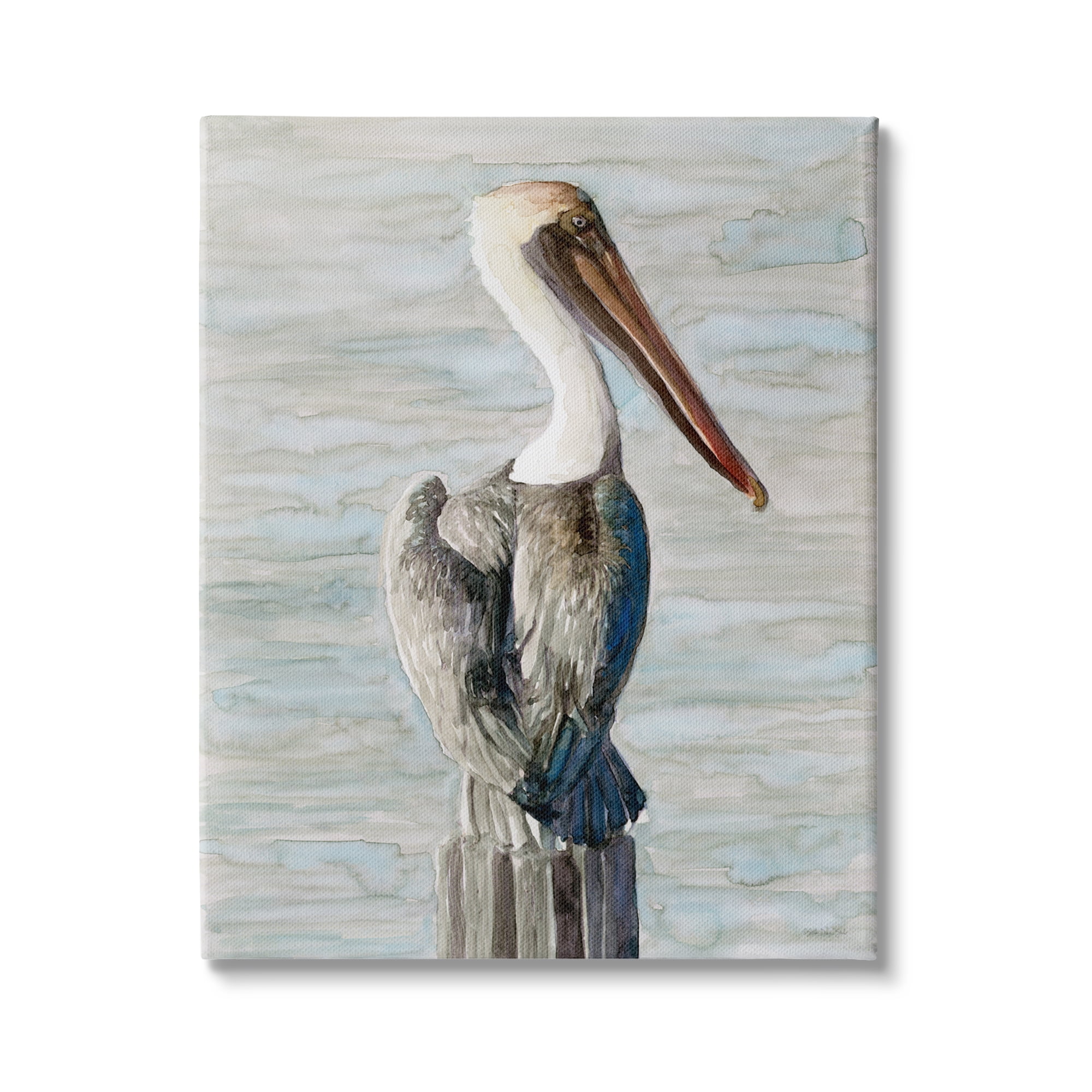 Stupell Industries Long Beak Pelican Watercolor Painting Coastal Waterfowl Bird, 16 x 20,Design by Stellar Design Studio