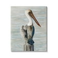 thumbnail image 1 of Stupell Industries Long Beak Pelican Watercolor Painting Coastal Waterfowl Bird, 36 x 48,Design by Stellar Design Studio, 1 of 7