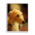 thumbnail image 1 of Stupell Industries Long Hair Terrier Dog Portrait Warm Lighting Photography Photograph White Framed Art Print Wall Art, Design by James Dobson, 1 of 5