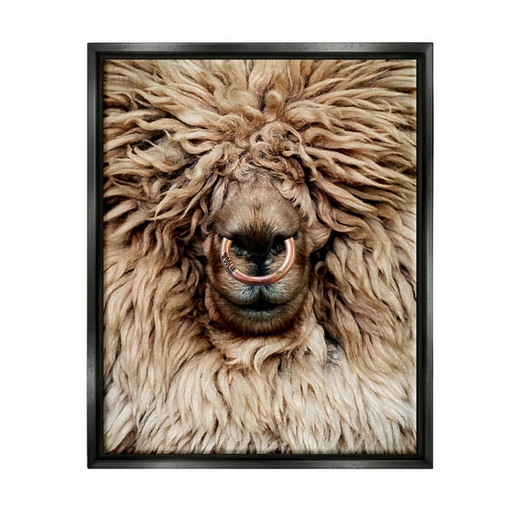 Stupell Industries Long Haired Sheep Portrait Animals & Insects Painting Black Floater Framed Art Print Wall Art, 17 x 21