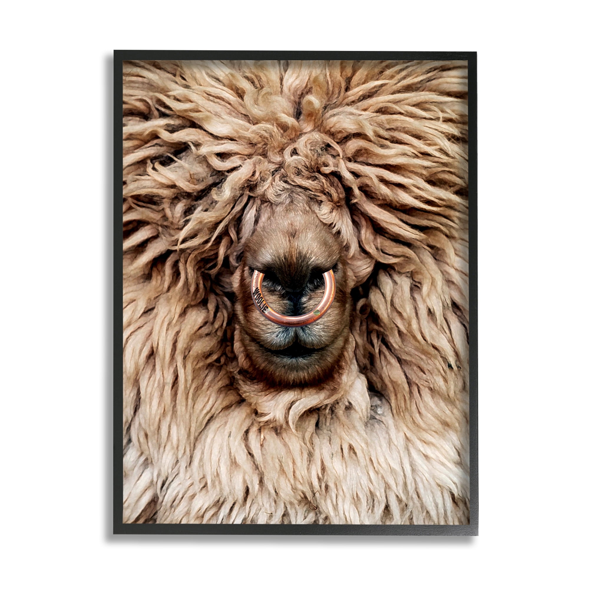 Stupell Industries Long Haired Sheep Portrait Animals & Insects Painting Black Framed Art Print Wall Art, 16 x 20