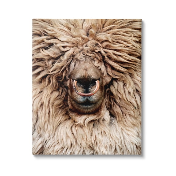 Stupell Industries Long Haired Sheep Portrait Animals & Insects Painting Gallery Wrapped Canvas Print Wall Art, 16 x 20