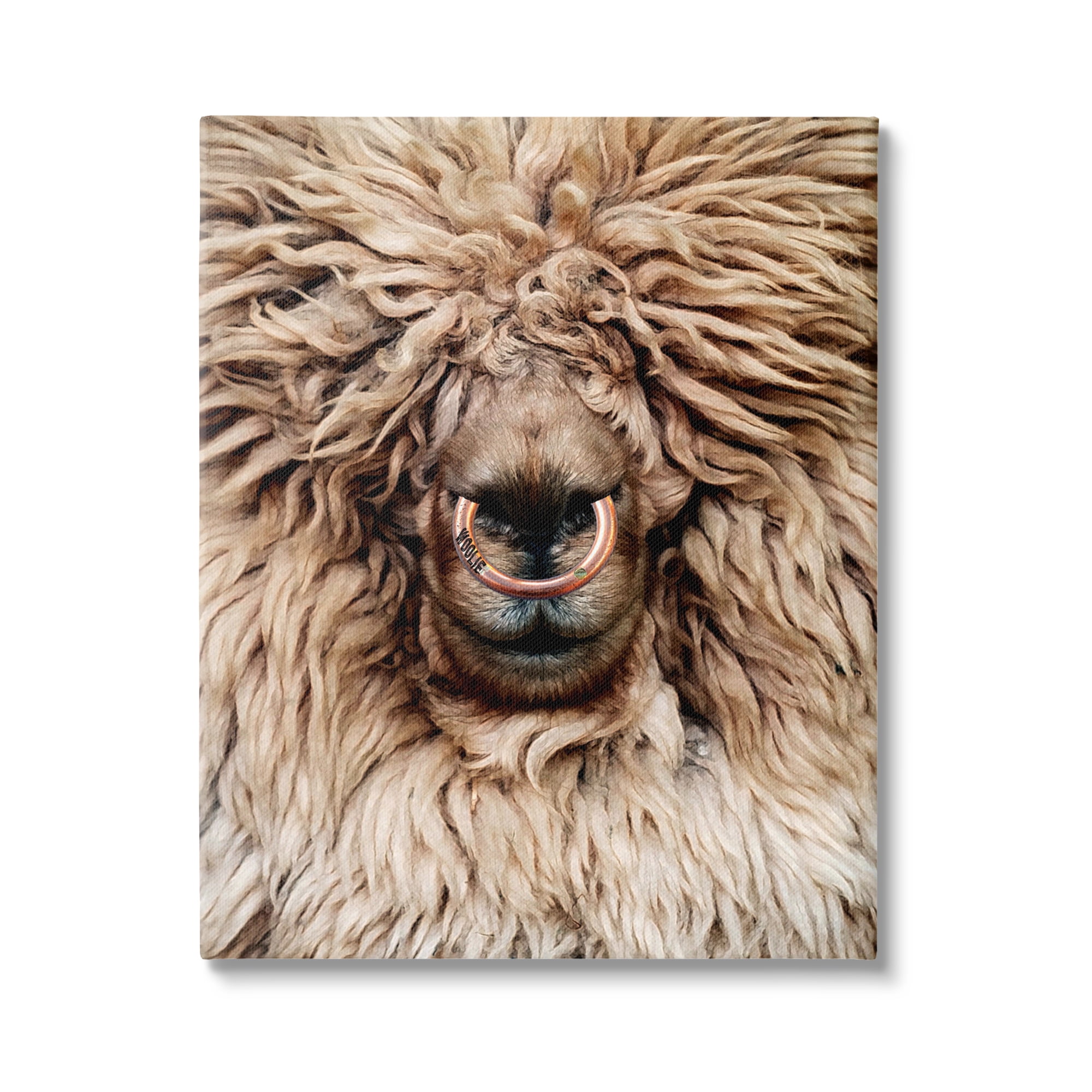 Stupell Industries Long Haired Sheep Portrait Animals & Insects Painting Gallery Wrapped Canvas Print Wall Art, 30 x 40