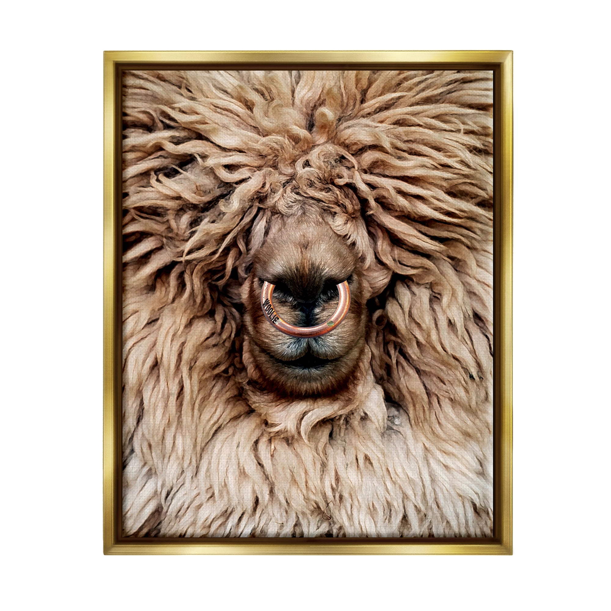 Stupell Industries Long Haired Sheep Portrait Animals & Insects Painting Gold Floater Framed Art Print Wall Art, 17 x 21