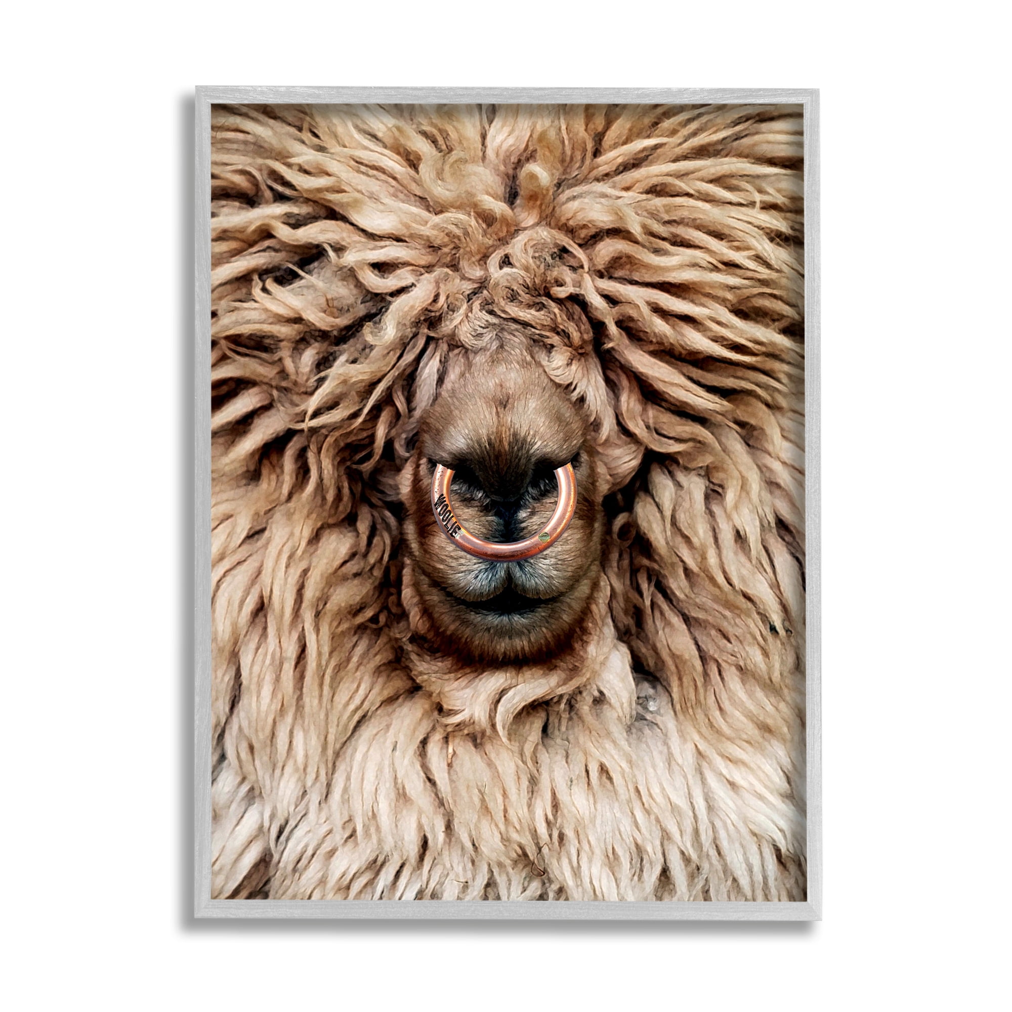 Stupell Industries Long Haired Sheep Portrait Animals & Insects Painting Gray Framed Art Print Wall Art, 24 x 30