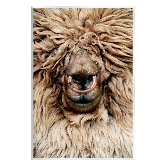 Stupell Industries Long Haired Sheep Portrait Animals & Insects Painting Unframed Art Print Wall Art, 10 x 15
