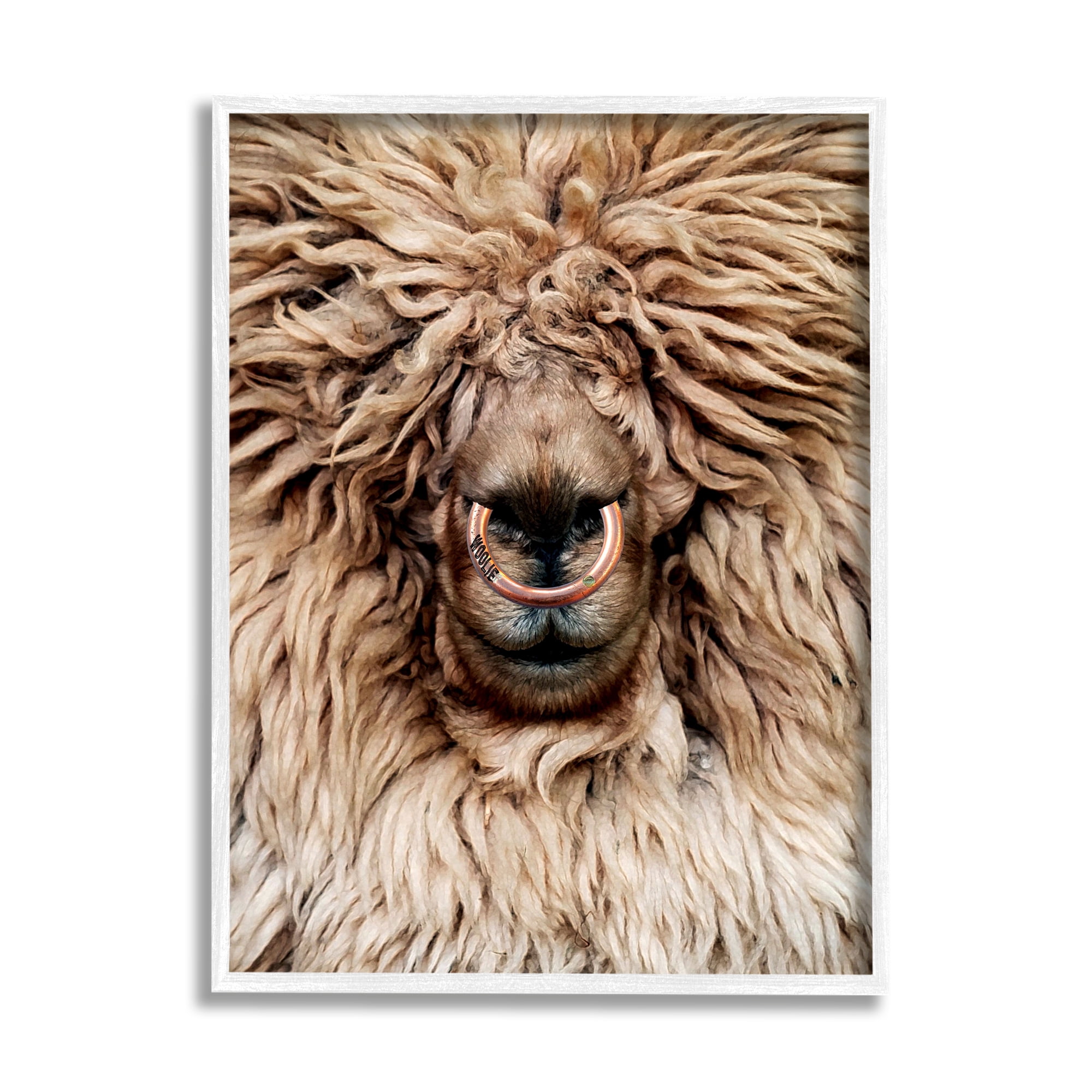 Stupell Industries Long Haired Sheep Portrait Animals & Insects Painting White Framed Art Print Wall Art, 24 x 30
