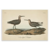 Stupell Industries Long Legged Sandpiper Animals & Insects Painting Unframed Art Print Wall Art, 15 x 10