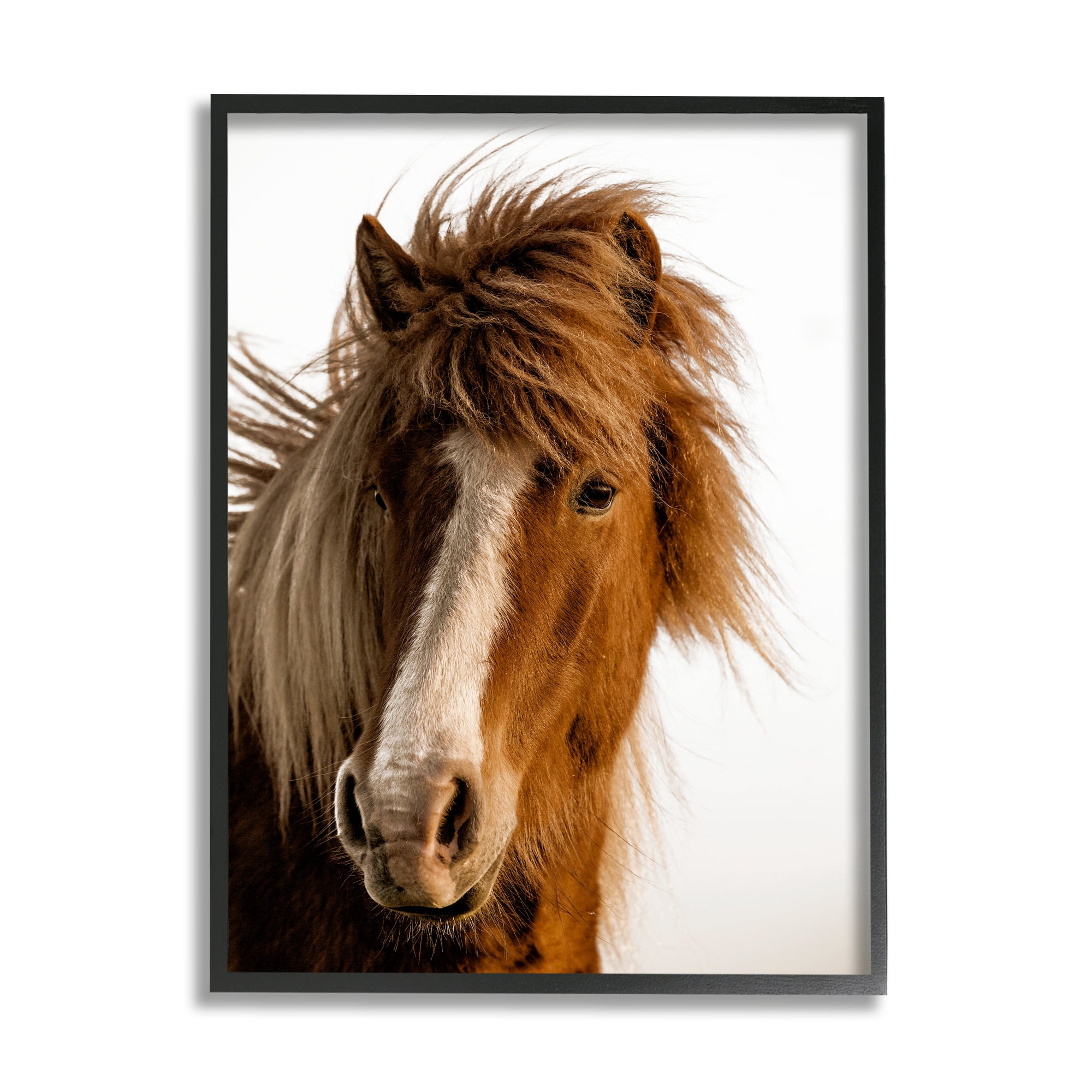 Stupell Industries Long Mane Horse Equestrian Portrait Brown Animal Photograph, 11 x 14, Design by Danita Delimont