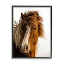 Stupell Industries Long Mane Horse Equestrian Portrait Brown Animal Photograph, 16 x 20, Design by Danita Delimont