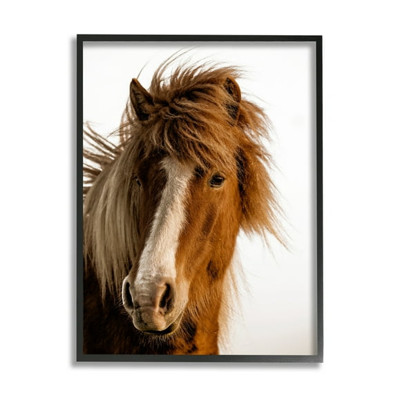 Stupell Industries Long Mane Horse Equestrian Portrait Brown Animal Photograph, 16 x 20, Design by Danita Delimont