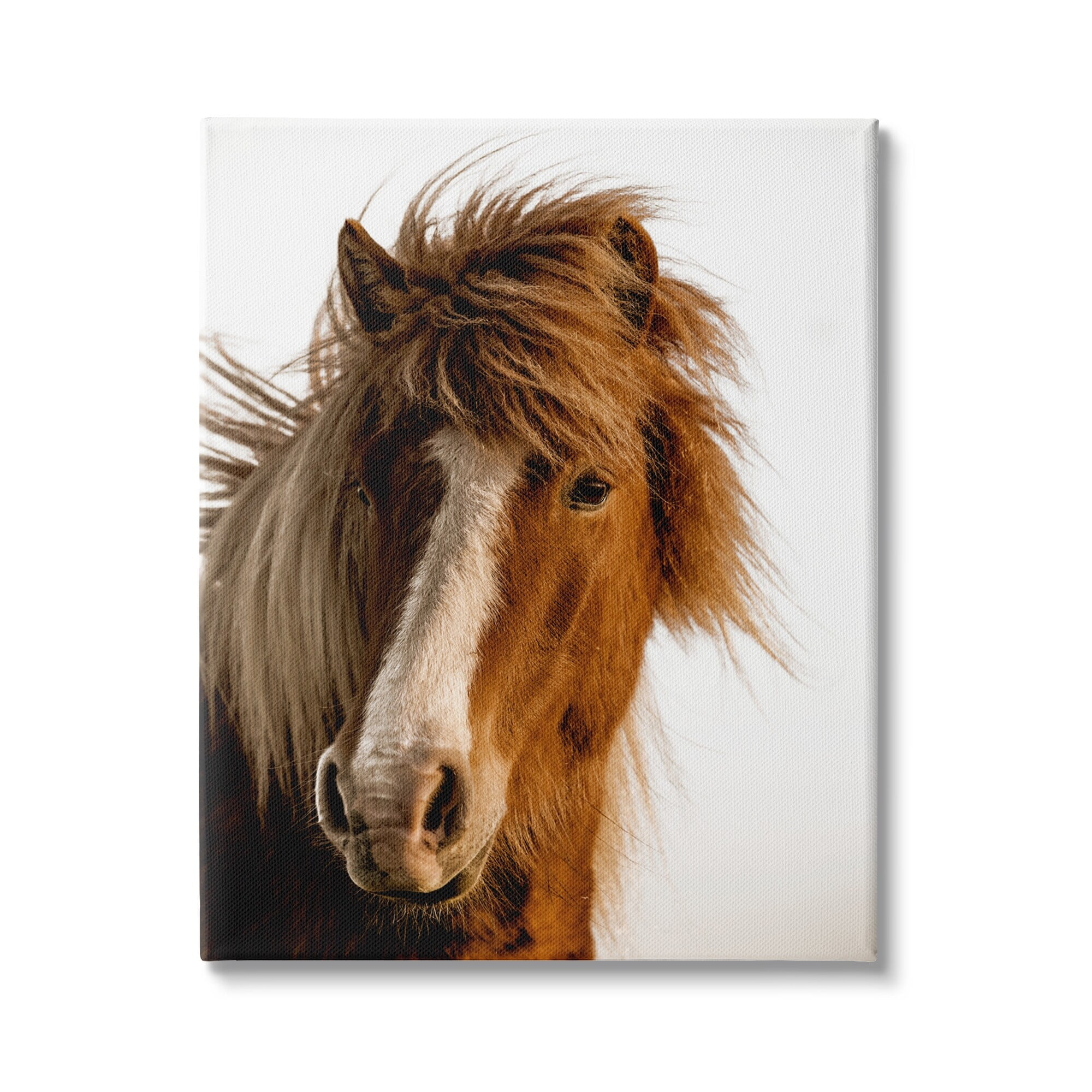 Stupell Industries Long Mane Horse Equestrian Portrait Brown Animal Photograph, 30 x 40, Design by Danita Delimont